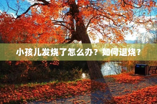 小孩儿发烧了怎么办？如何退烧？