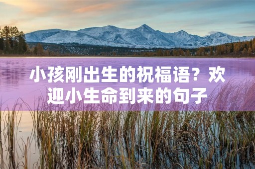 小孩刚出生的祝福语？欢迎小生命到来的句子
