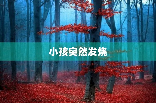 小孩突然发烧，是什么原因？——探究小孩发烧的可能性