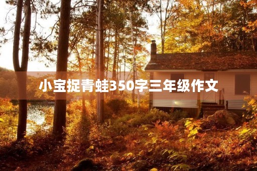 小宝捉青蛙350字三年级作文