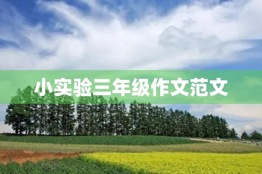 小实验三年级作文范文 小实验三年级作文范文