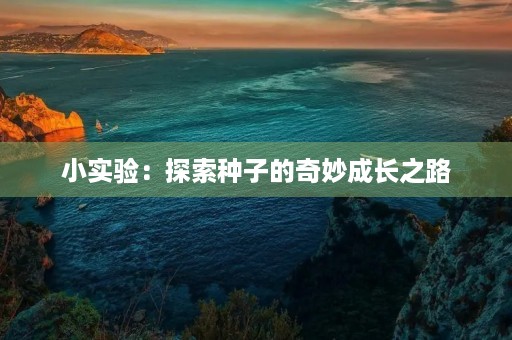 小实验:探索种子的奇妙成长之路 小实验:探索种子的奇妙成长之路