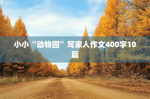 小小“动物园”写家人作文400字10篇