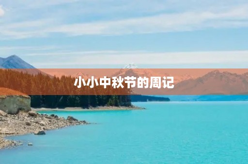 小小中秋节的周记 小小中秋节的周记