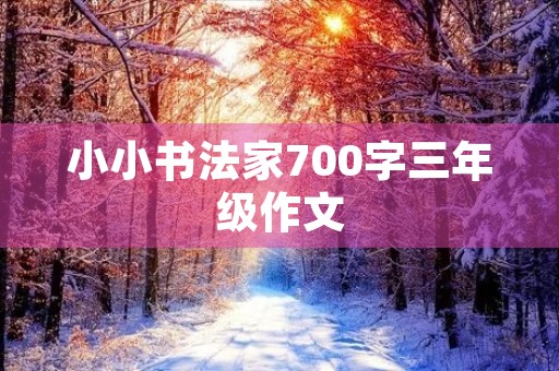 小小书法家700字三年级作文