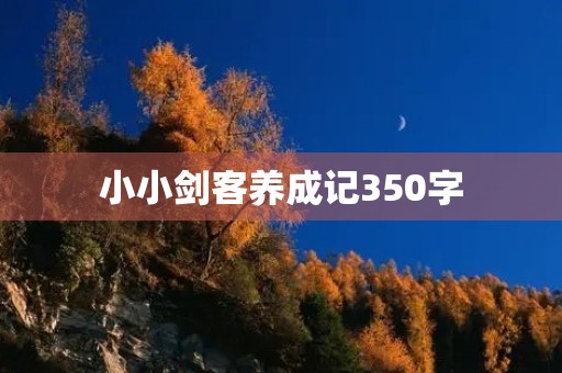 小小剑客养成记350字
