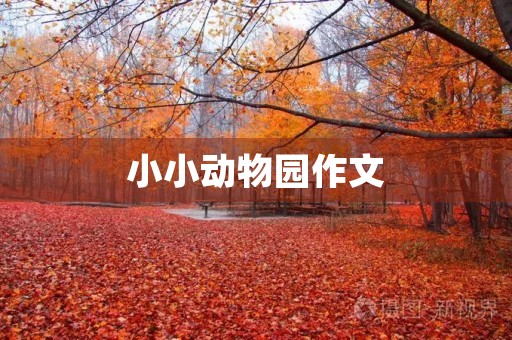 小小动物园作文 小小动物园作文