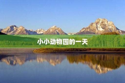 小小动物园的一天