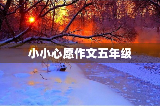 小小心愿作文五年级 小小心愿作文五年级