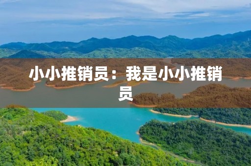 小小推销员：我是小小推销员