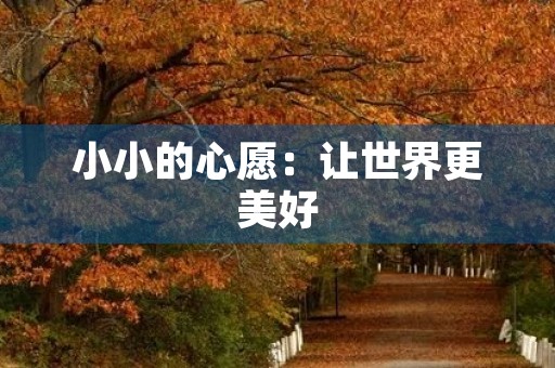 小小的心愿：让世界更美好