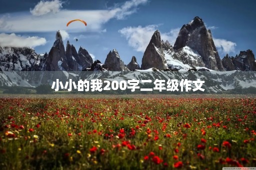 小小的我200字二年级作文