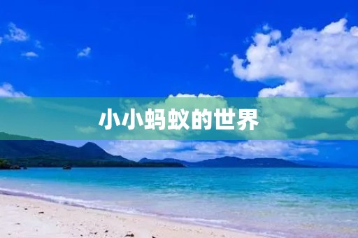 小小蚂蚁的世界
