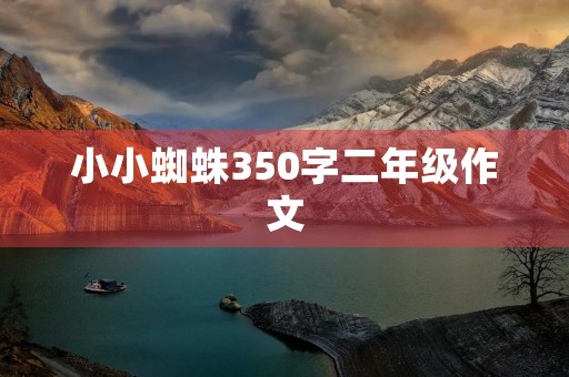小小蜘蛛350字二年级作文