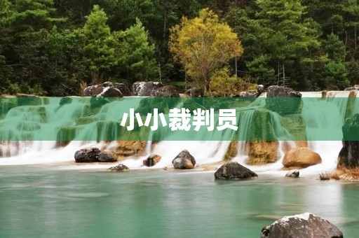 小小裁判员