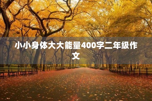 小小身体大大能量400字二年级作文