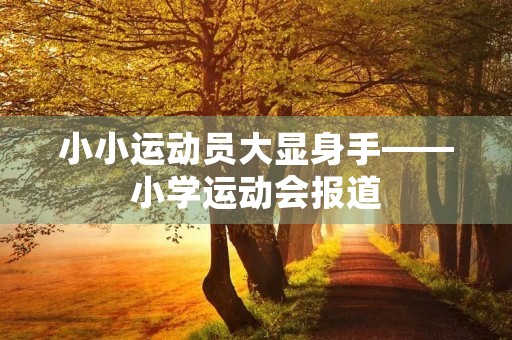 小小运动员大显身手——小学运动会报道 小小运动员大显身手——小学运动会报道