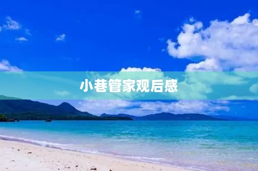 小巷管家观后感【个人】