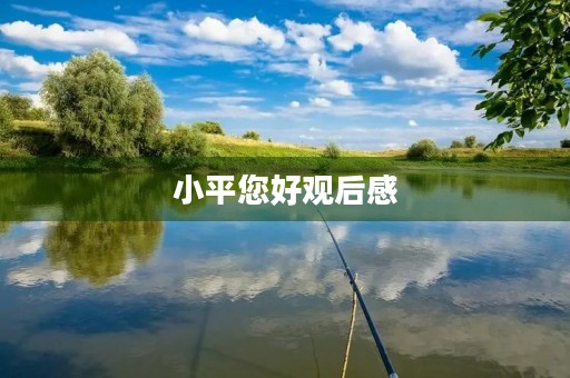 小平您好观后感 小平您好观后感