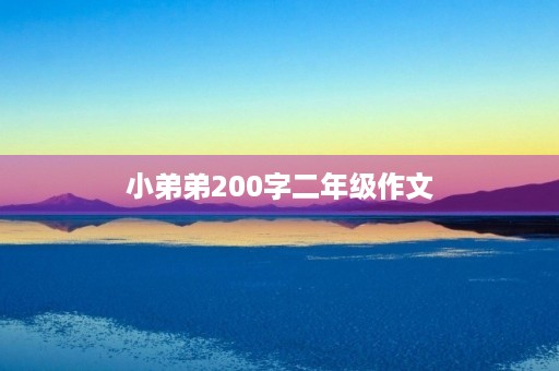 小弟弟200字二年级作文