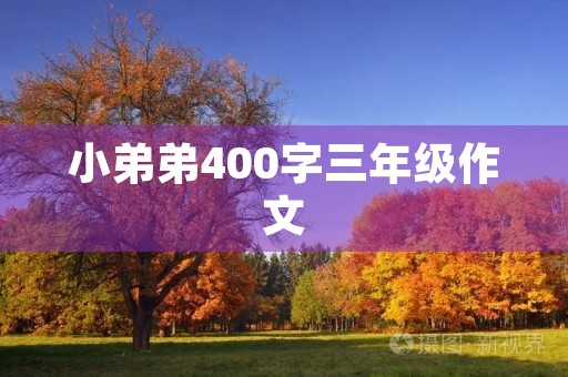 小弟弟400字三年级作文 小弟弟400字三年级作文