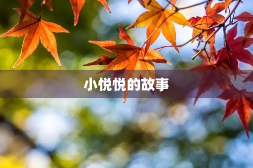 小悦悦的故事 小悦悦的故事