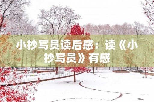 小抄写员读后感:读《小抄写员》有感 小抄写员读后感:读《小抄写员》有感