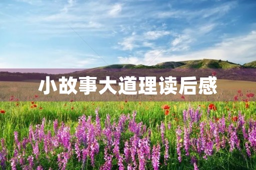 小故事大道理读后感 小故事大道理读后感