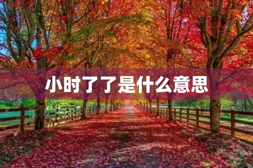 小时了了是什么意思 小时了了是什么意思