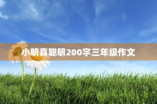 小明真聪明200字三年级作文 小明真聪明200字三年级作文