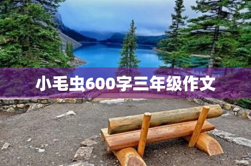 小毛虫600字三年级作文