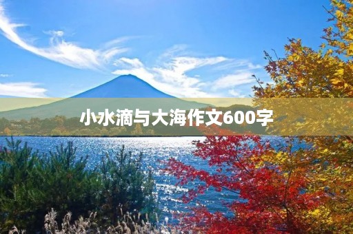 小水滴与大海作文600字 小水滴与大海作文600字