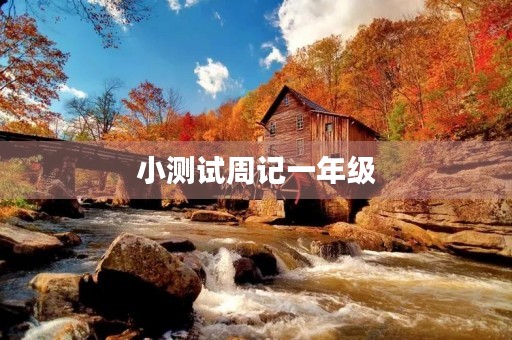 小测试周记一年级 小测试周记一年级