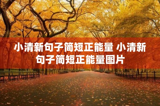 小清新句子简短正能量 小清新句子简短正能量图片