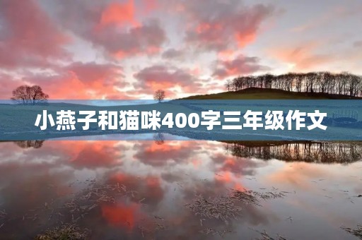 小燕子和猫咪400字三年级作文