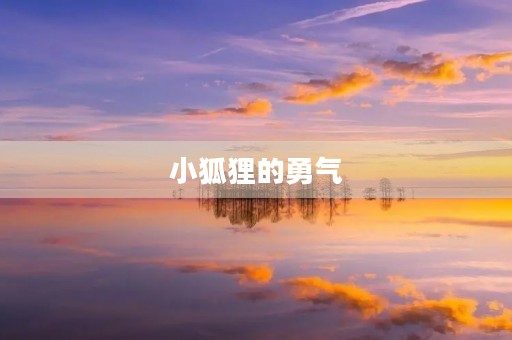 小狐狸的勇气