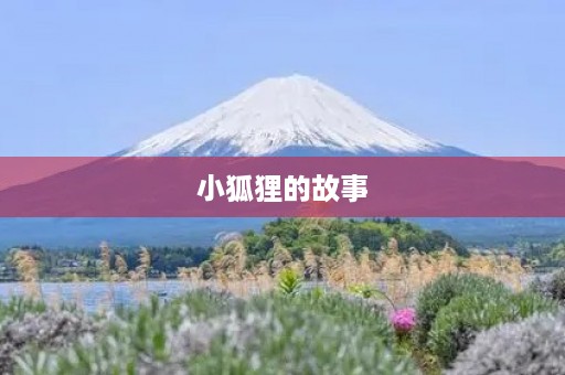 小狐狸的故事