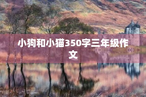 小狗和小猫350字三年级作文