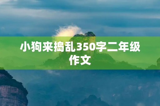 小狗来捣乱350字二年级作文