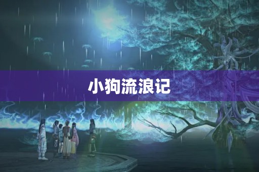 小狗流浪记 小狗流浪记