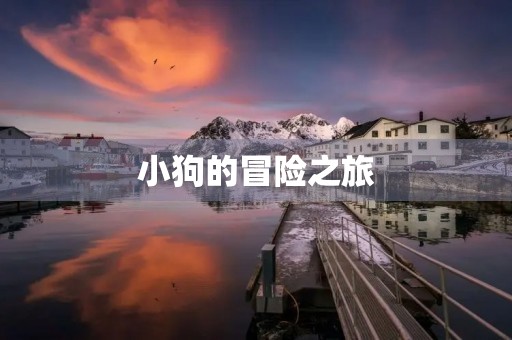 小狗的冒险之旅