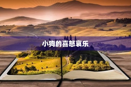 小狗的喜怒哀乐