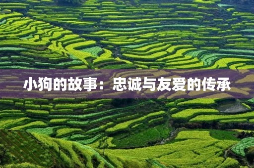 小狗的故事：忠诚与友爱的传承