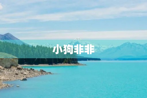 小狗非非
