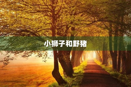 小狮子和野猪 小狮子和野猪