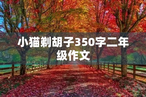 小猫剃胡子350字二年级作文