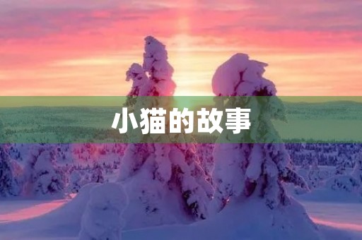小猫的故事