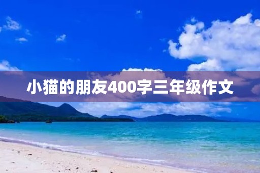 小猫的朋友400字三年级作文 小猫的朋友400字三年级作文