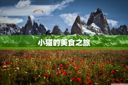 小猫的美食之旅