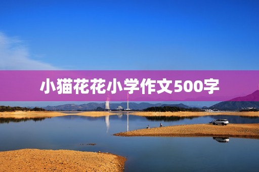 小猫花花小学作文500字